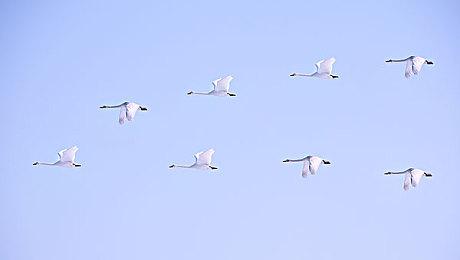 传《巫师3》明年初还会有故事DLC 来自《巫师1》重制版开发商